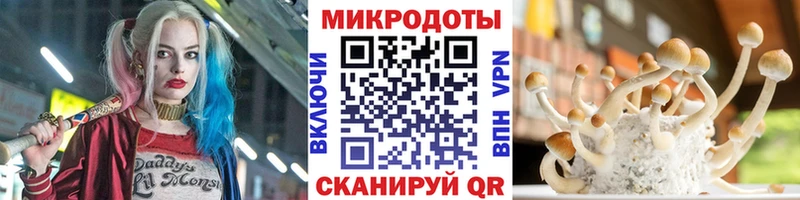 наркота  Урай  Галлюциногенные грибы GOLDEN TEACHER 